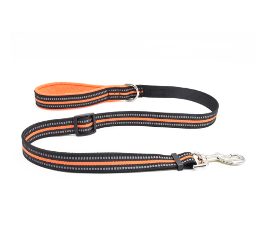 Dog Leash Nylon Assisted Retractable