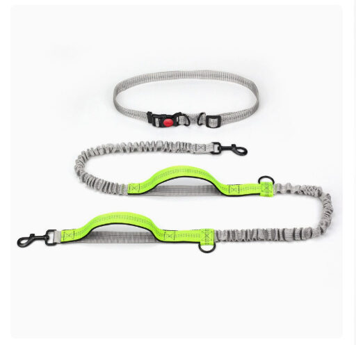 Pet Supplies Outdoor Running Dog Leash