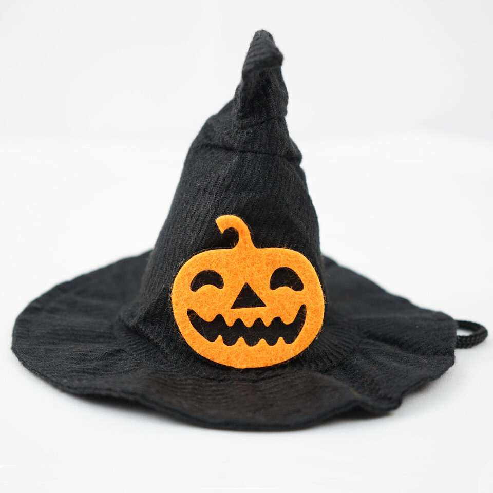 Transform Into Magic Halloween Creative Pet Hat