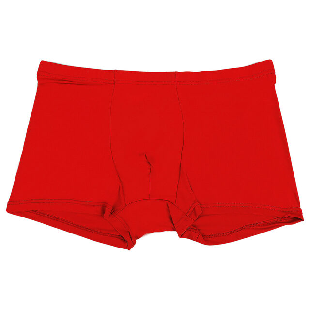 Ice Silk Seamless Men Boxers Luxury Underwear Sp