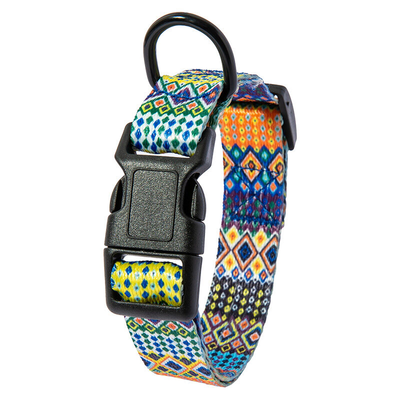 Dog Collar Neck Pet Leash