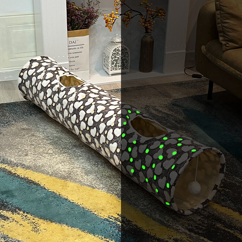 Glow In The Night Of Rolling Dragon Cat