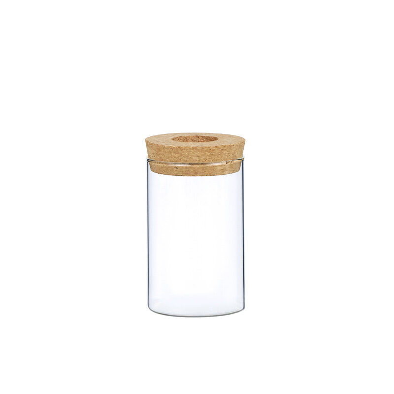Indoor Green Plant Decoration Glass Bottle For Hydroponic
