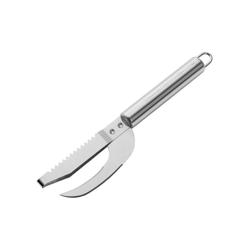 Kitchen 3 In 1 Stainless Steel Scale Planer
