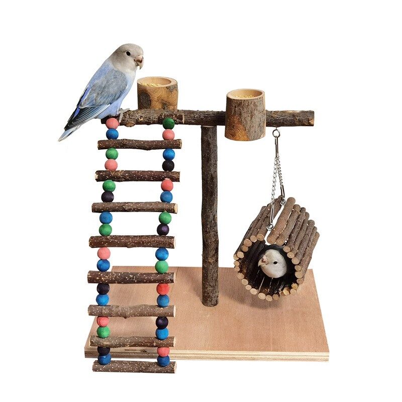 Solid Wood Parrot Station Frame Training Bird Shelf