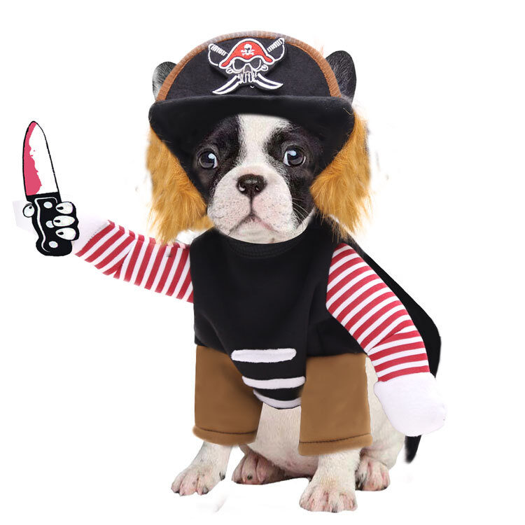 Pirates Turned Into Weird Pet Dogs Cats Halloween