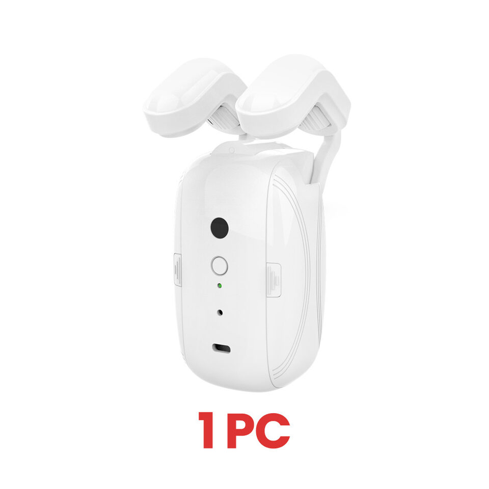 Wifi Curtain Robot Smart Home Roman Rod Electric