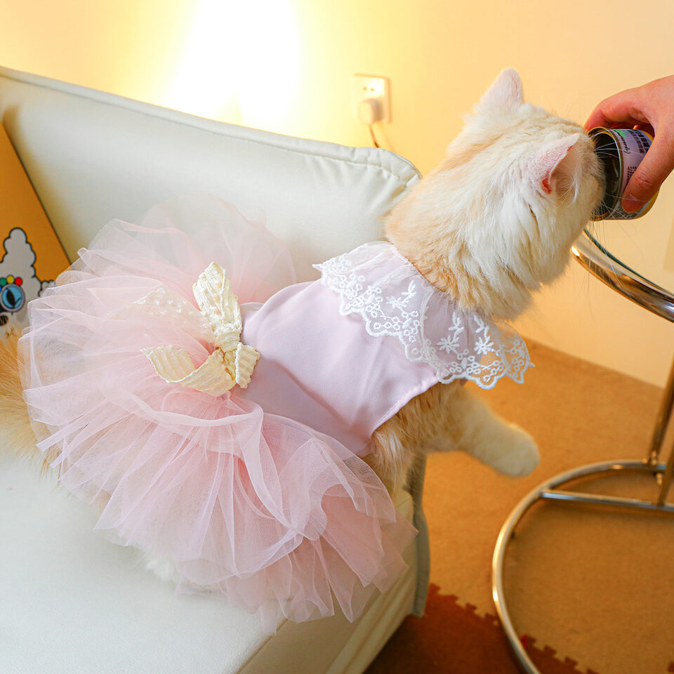 Pet Clothing Cat Clothes Lace