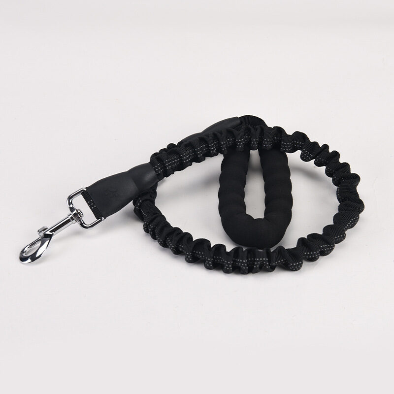 Dog Hand Holding Rope Walking Lengthened Leash