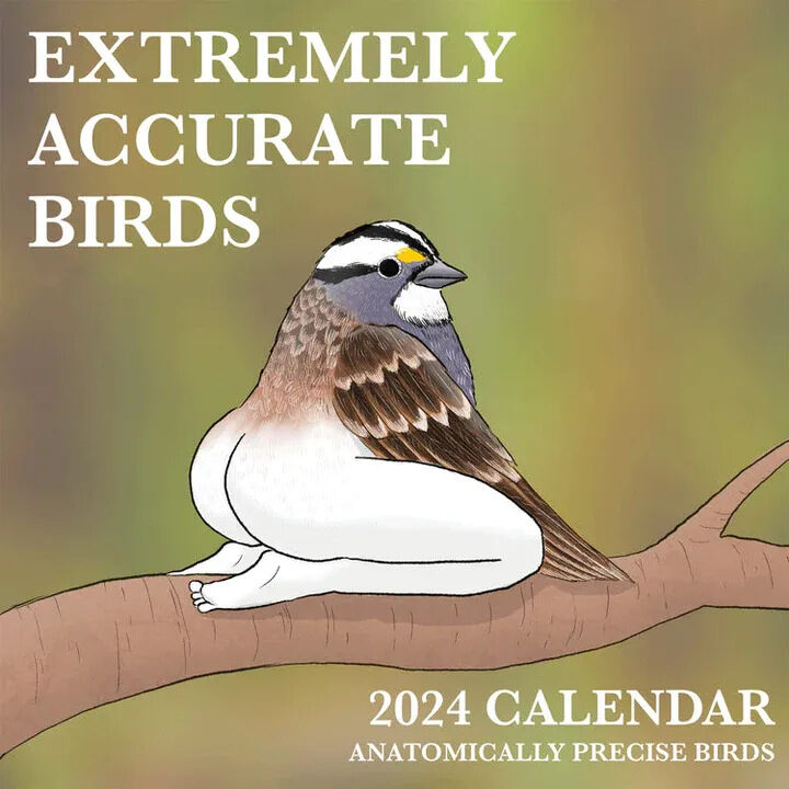 Extremely Accurate Birds Calendar Decorative Wall Monthly