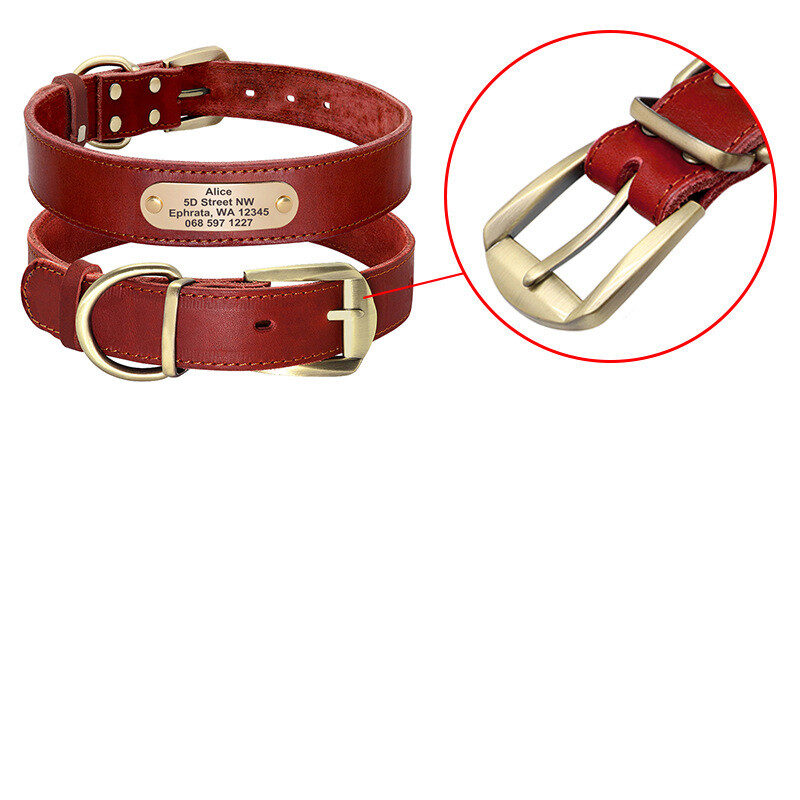 Personalized Dog Collars with Nameplate ID Tags