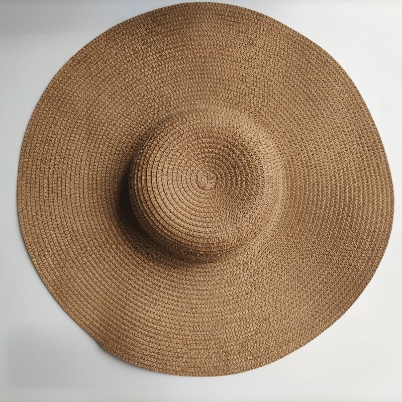 Light Board 14CM Big Brim Straw Hat Women's