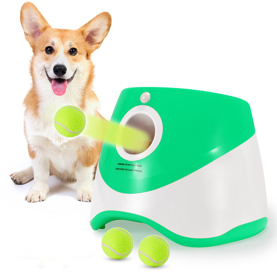 Automatic Throwing Machine Pet Outdoor Toy Ball Dog