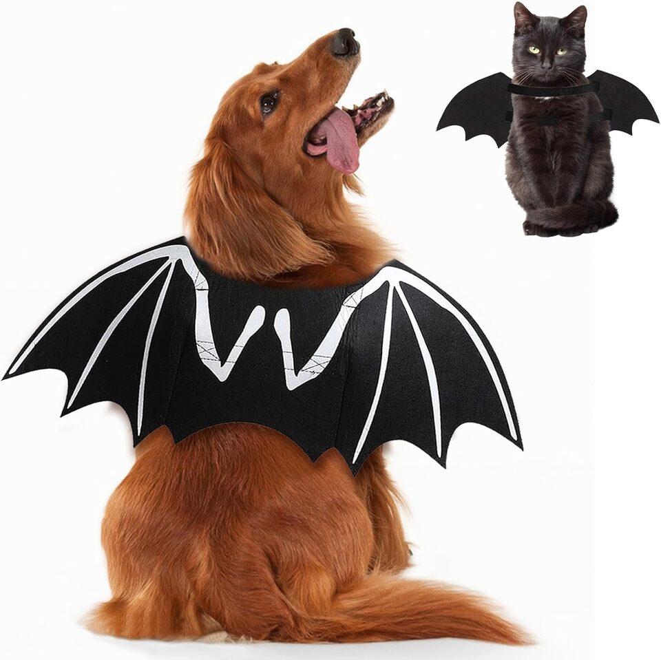 Dog Halloween Costumes Bat Costume Cool Luminous Skeleton