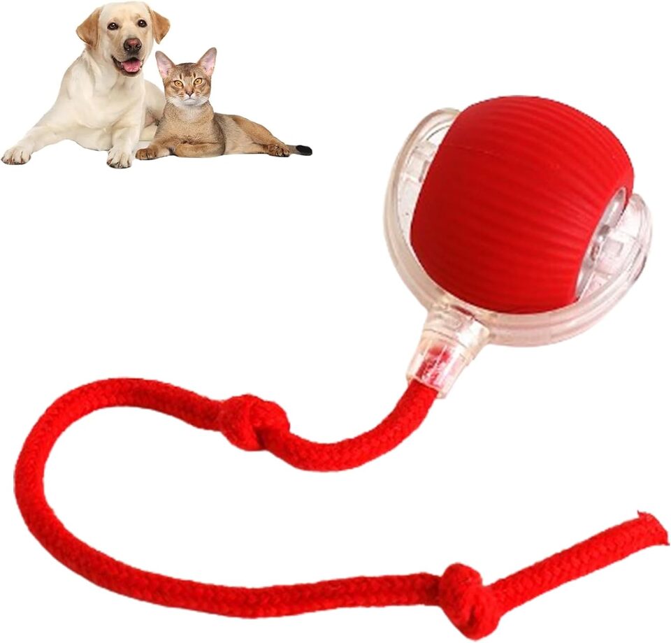 Rolling Ball For Dogs Doggie Interactive Dog Smart