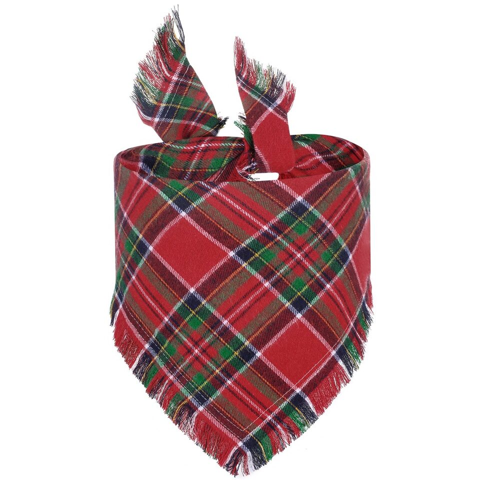 Vivifying Fall Dog Bandana With Tassels Edges Classic