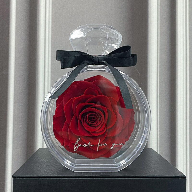 Natural Eternal Flower Ornaments Transparent Cover Dried Rose