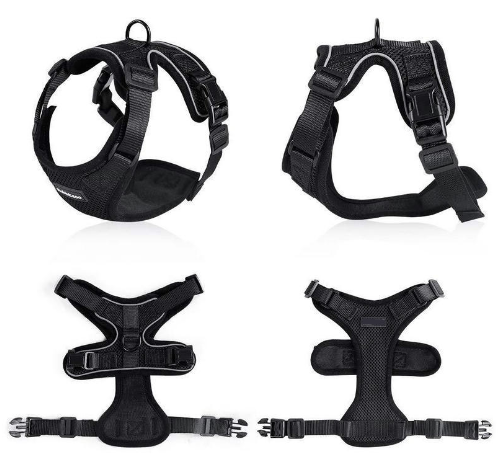 Escape Proof Cat Vest Harness And Car Seat