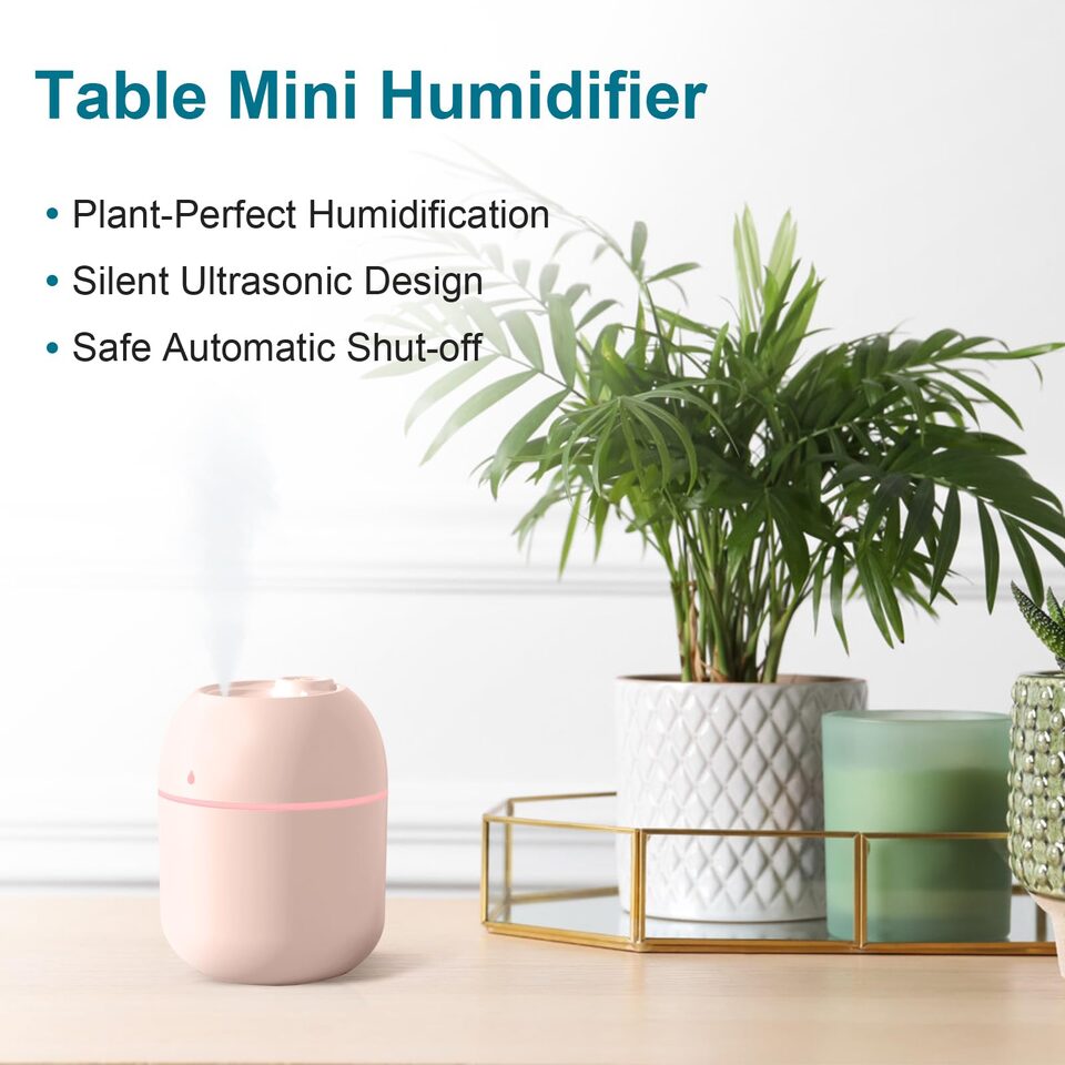 Portable Mini Humidifier 220ml Small Cool Mist USB