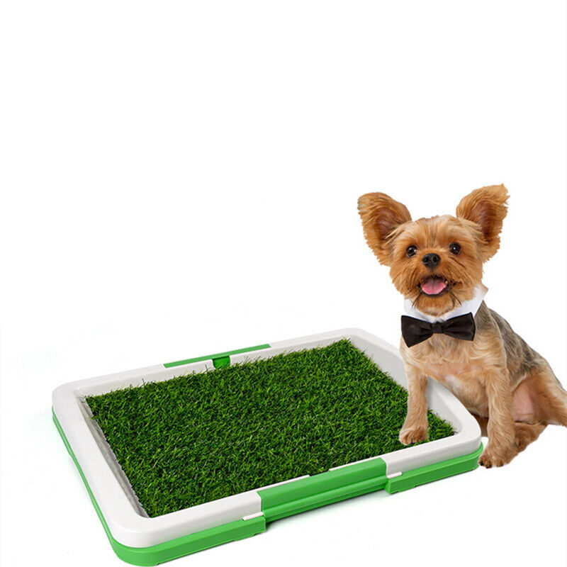 Pet Dog Toilet Mat Indoor Restroom Training Grass