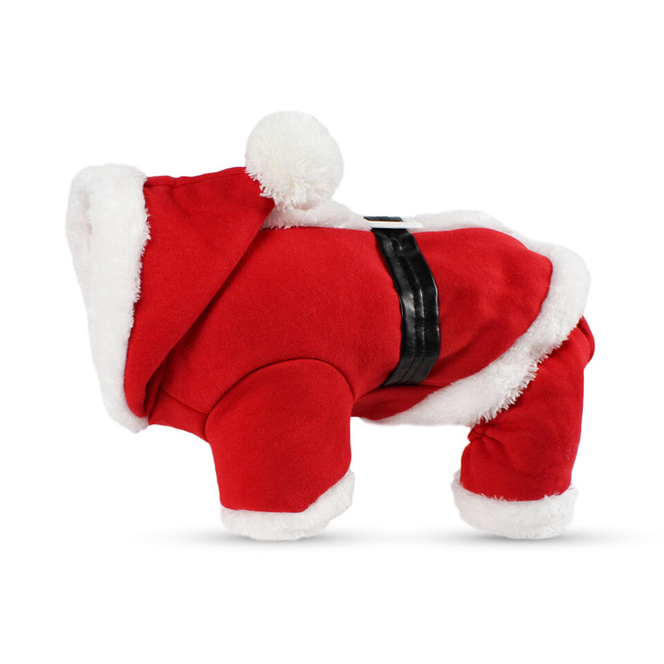 New year clothes winter christmas dog