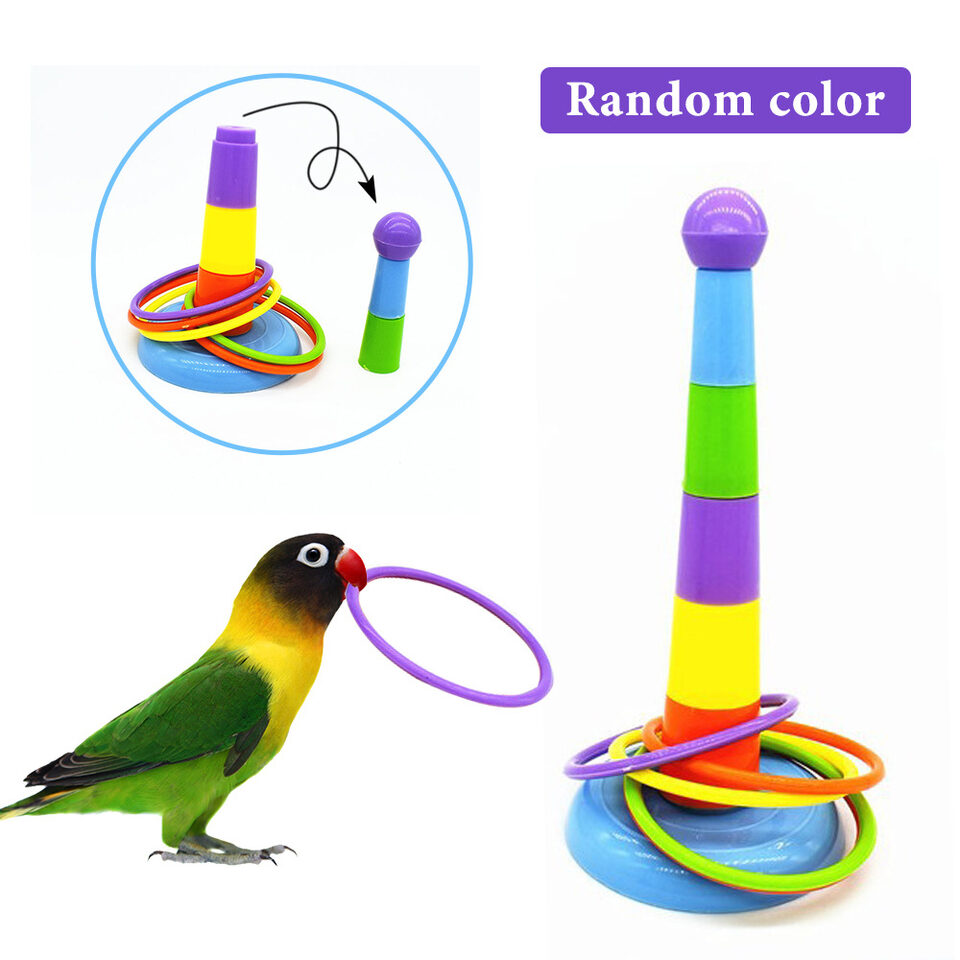 Bird toy parrot