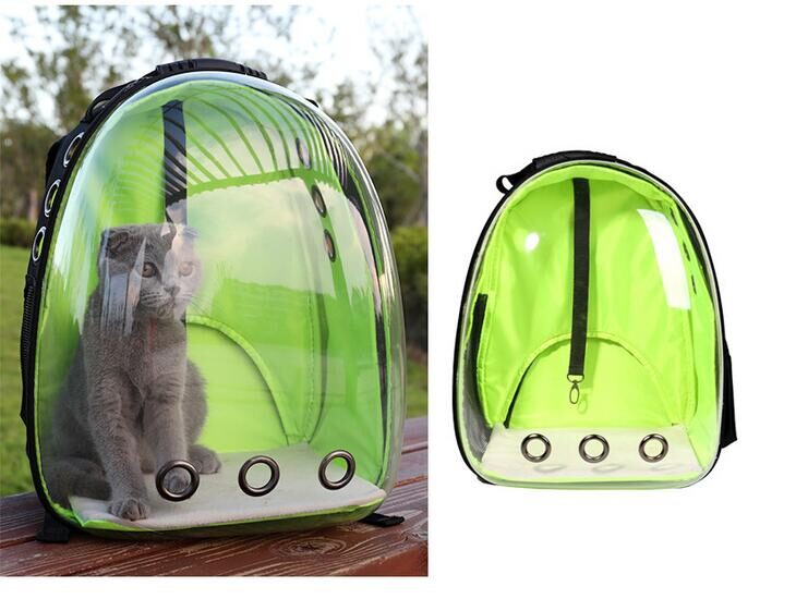 Transparent Backpack Pet