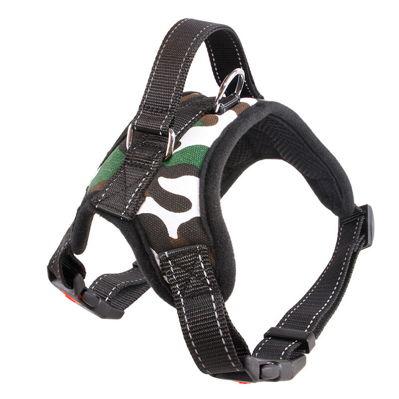 Pet Supplies Medium and Large Dog Collar