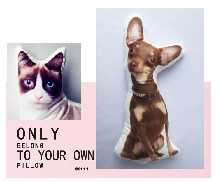 Customize Irregular Pillow Pet