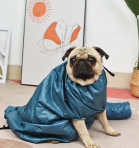 Automatic Drying Bag With Quick Hair Dryer
