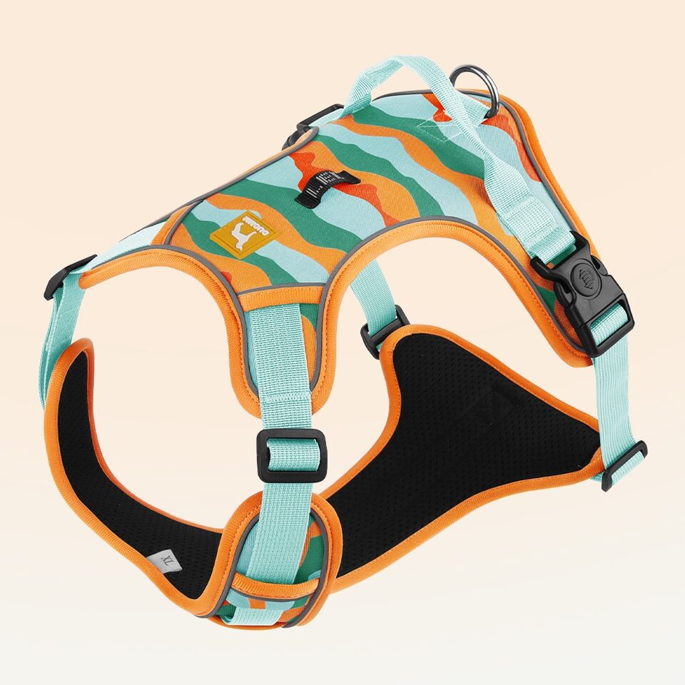 Dog Chest And Back Reflective Commuter Hand Holding