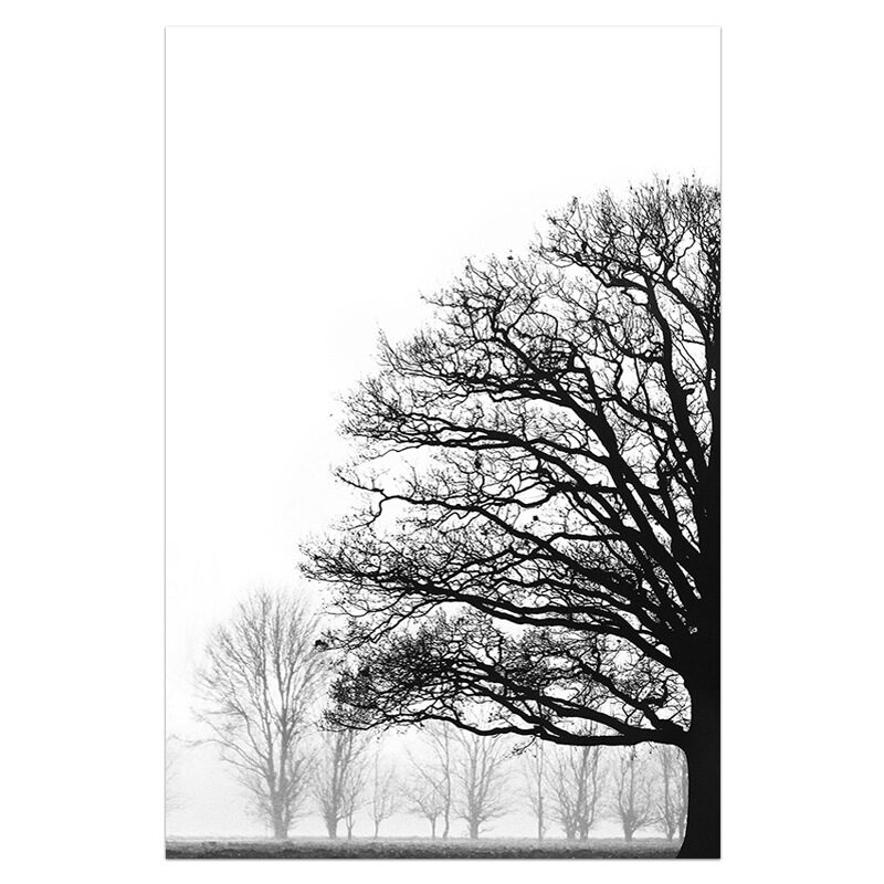 Black And White Winter Trees Modern Sofa Background