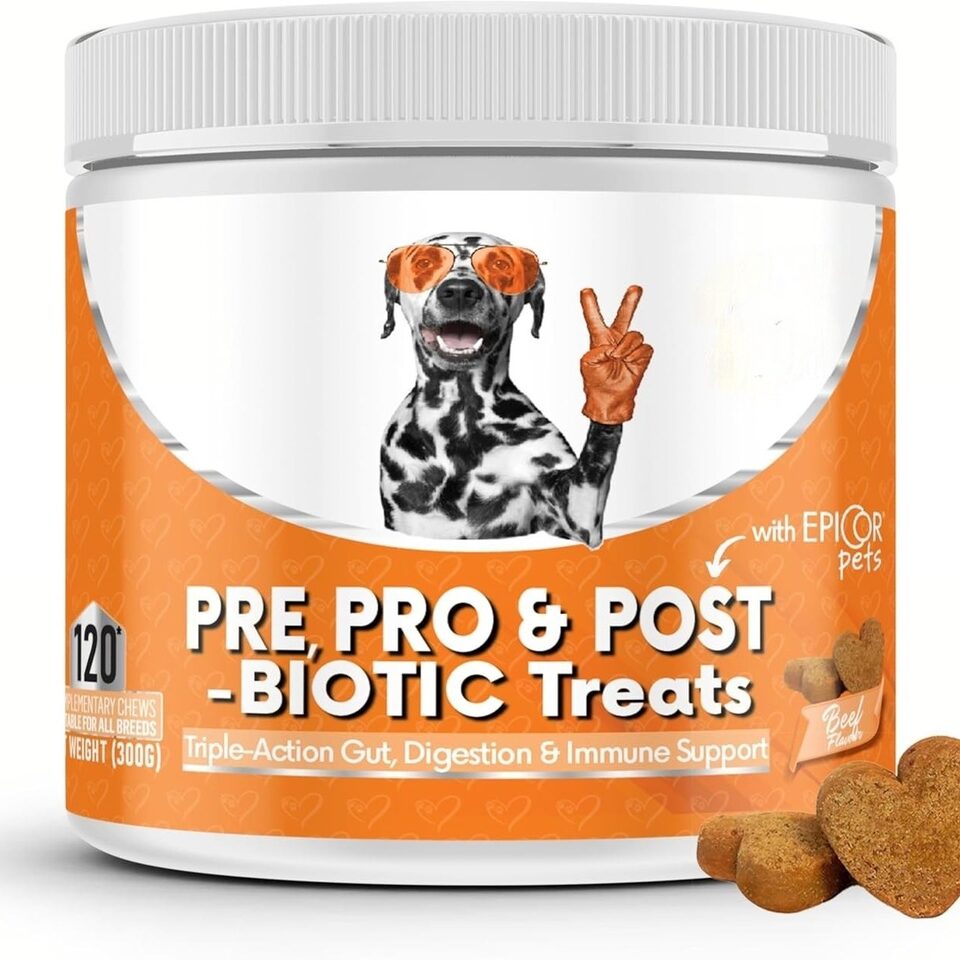 Dog Prebiotics Digestive Snacks Intestinal Health Pet Care