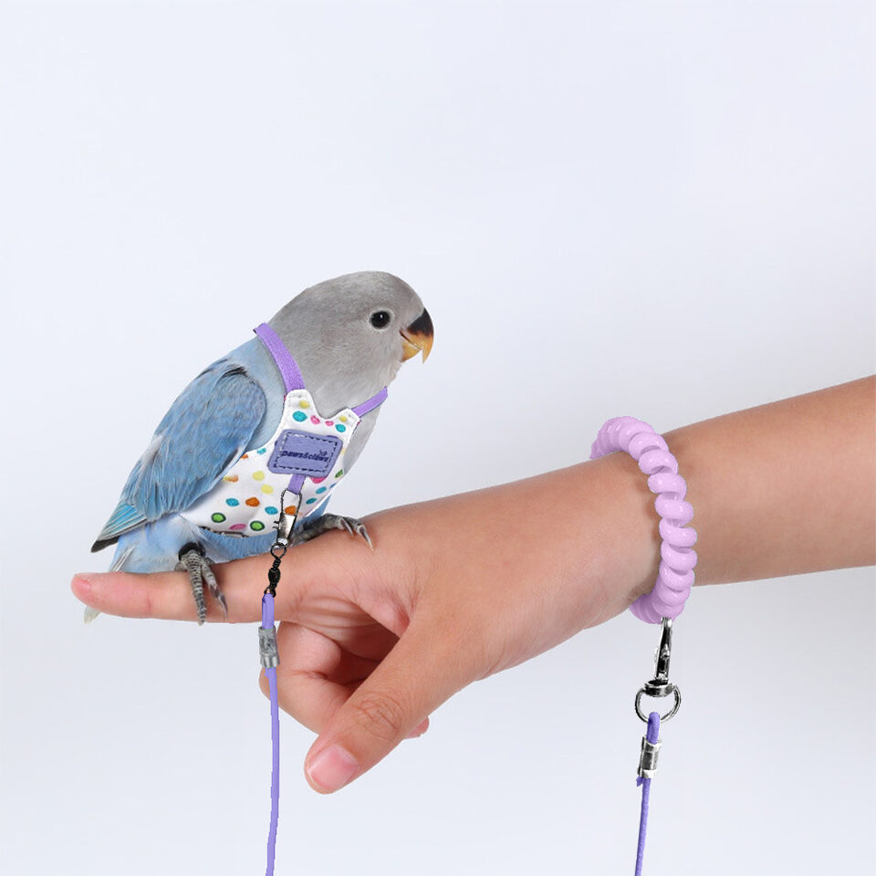 Parrot Out Rope Towing Anti Loss Flight Suit