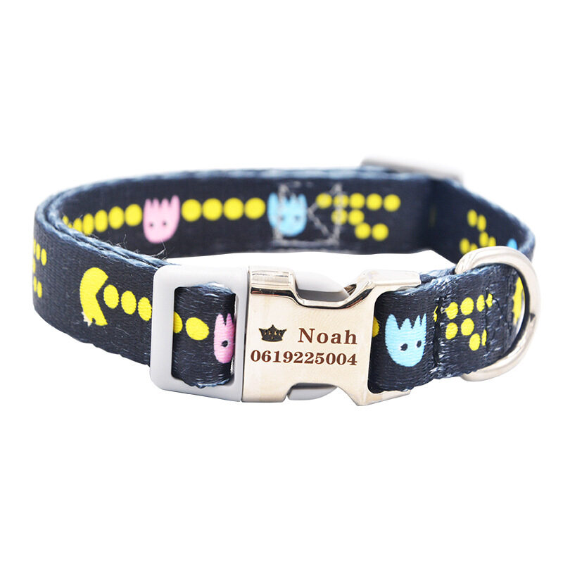 dog collar