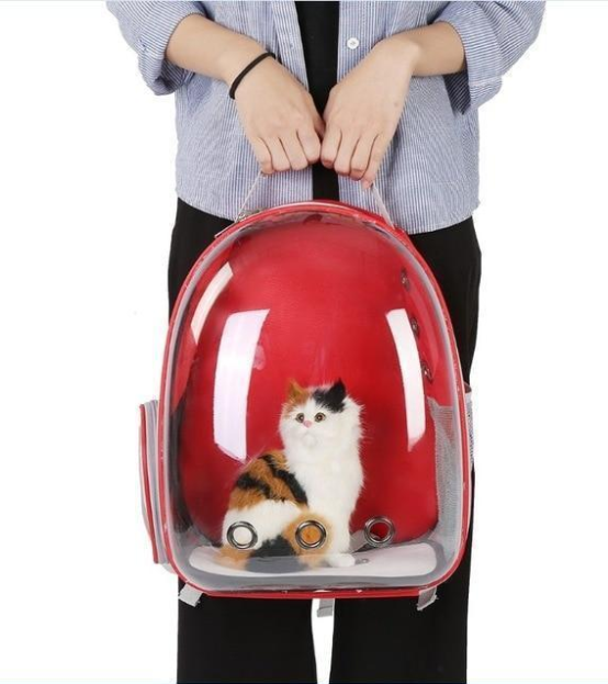 Cat Bag Full Transparent Pet Space