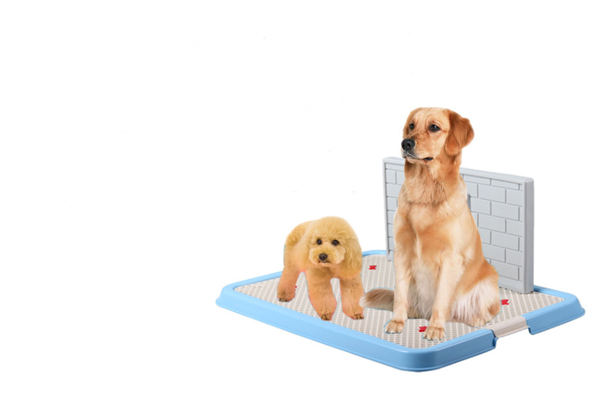 Dog Toilet Puppy Supplies Teddy Urinal Potty Golden