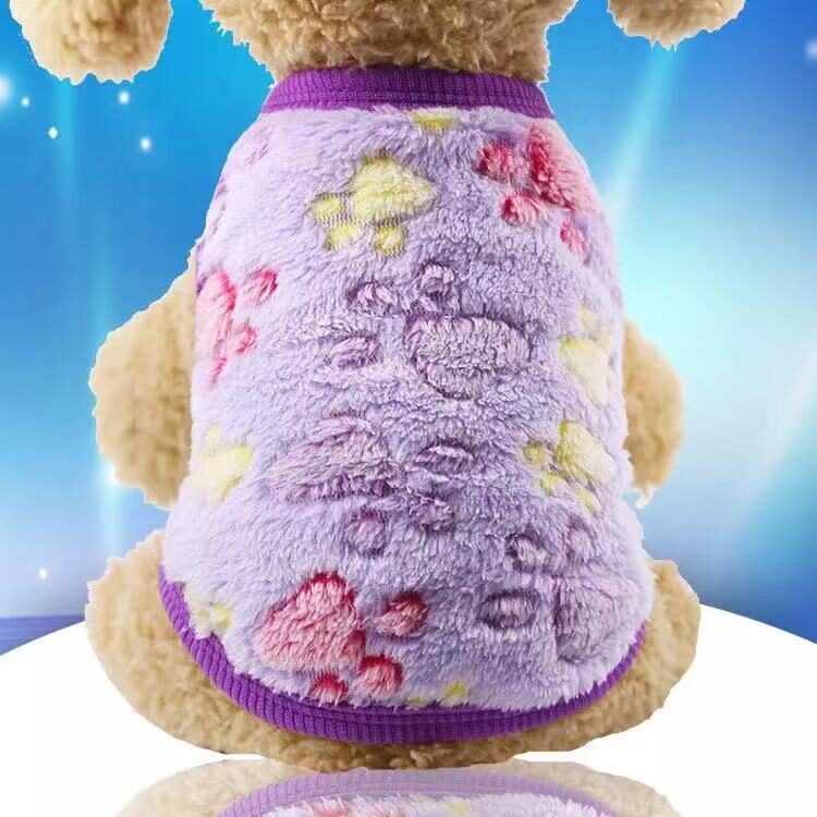 Cat clothes dog pet