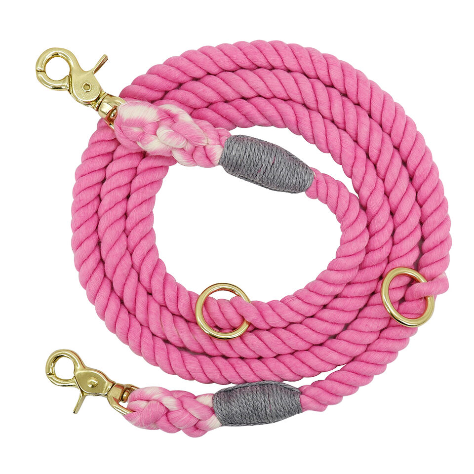 Gradient Color Dog Collars Accessories Leashes Rope Metal