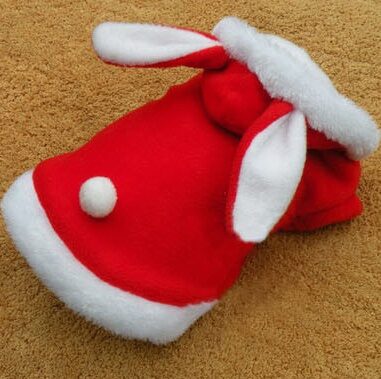 Pet Cat Clothes Mascotas Costume For Hoodies Cute