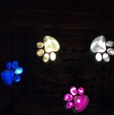 Solar Powered Animal Paw Print Lights LED Lamps