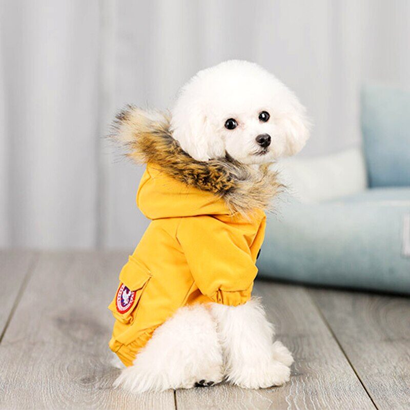 Pet dog clothes wool hat cotton