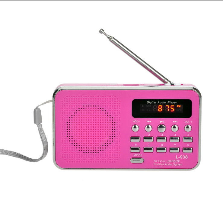 Multi-function card radio portable memory MP3 music player
