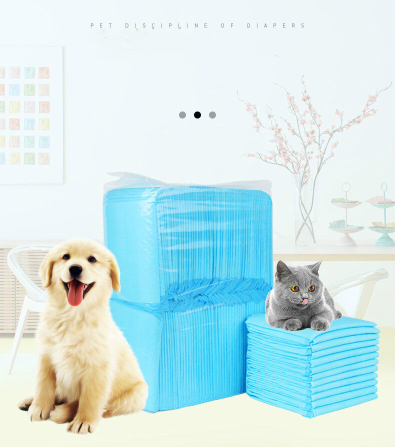 Pet Dad Cat And Dog Pad Teddy Thickened