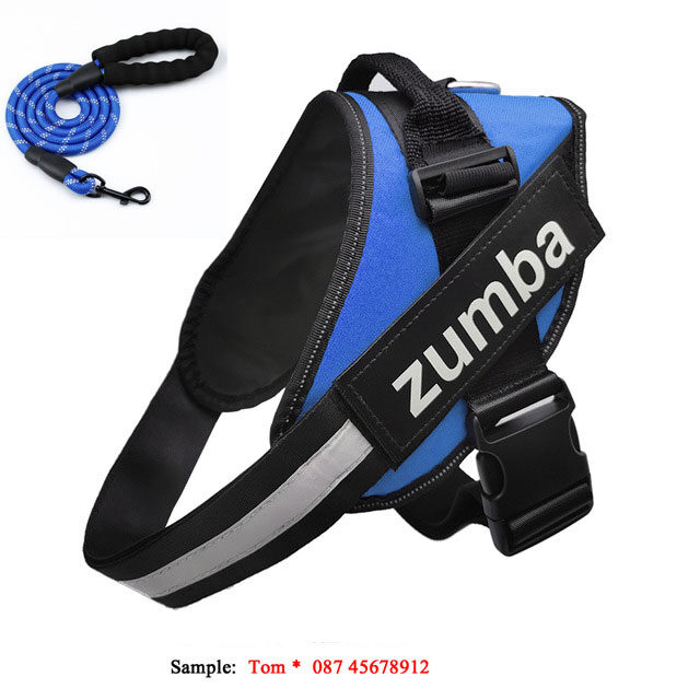 Personalized Reflective Breathable Adjustable Dog Harness and Leash