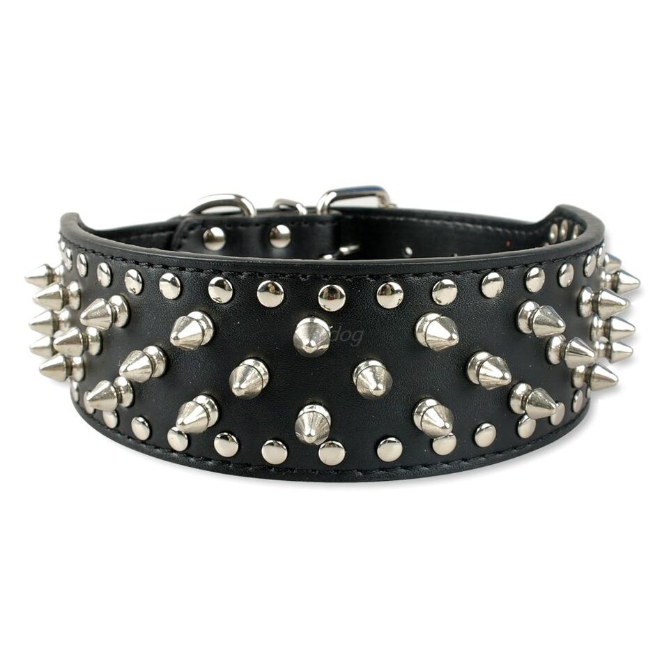 Pet collar large dog rivet