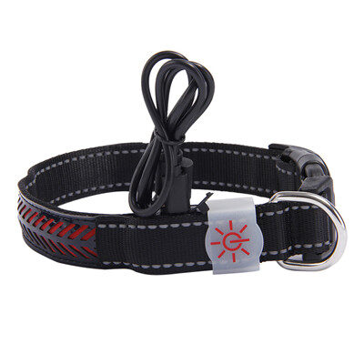 LED light collar pet