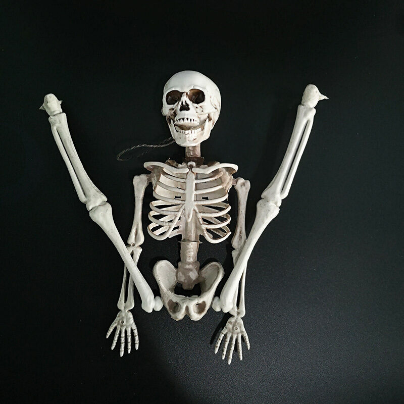 Halloween skeleton
