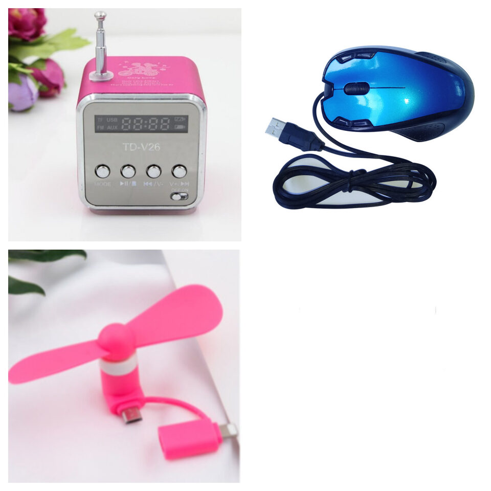 TD-V26 Portable Speaker Mini FM Radio Receiver MP3