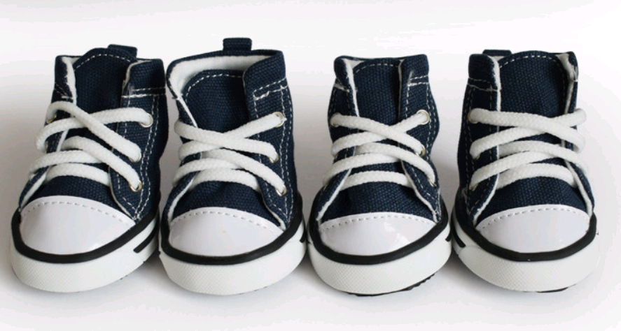 Pet denim canvas shoes dog